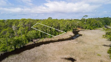 Your New Backyard