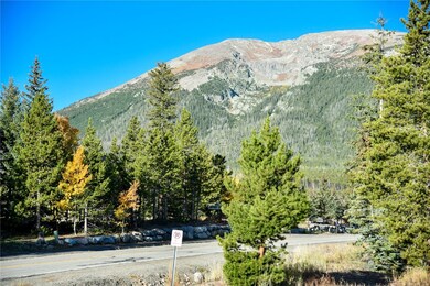 14 Spyglass Ln unit 14, Silverthorne, CO 80498 - photo 4