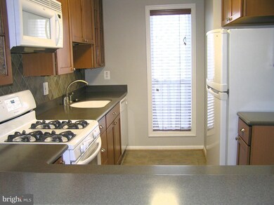 10048 Oakton Terrace Rd unit 10048, Oakton, VA 22124 - photo 3