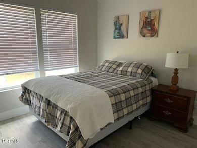 703 N Main Ave, Erwin, TN 37650 - photo 6