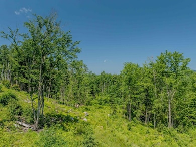 00 Guider Ln, Bethlehem, NH 03574 - photo 7