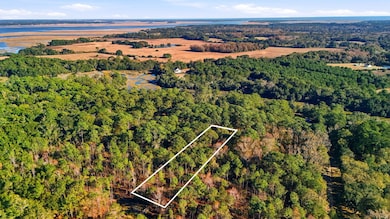 7783 Chaplin Garden Ln, Edisto Island, SC 29438 - photo 7