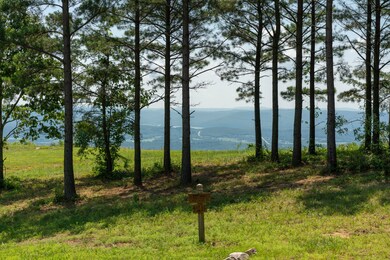 2850 River Bluffs Dr, Jasper, TN 37347 - photo 4