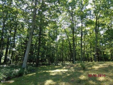 138 Weasel Rd, Dingmans Ferry, PA 18328 - photo 4