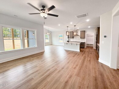 322 Sweetfern, Zebulon, NC 27597 - photo 2