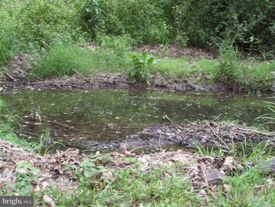 2833 McCubbins Hollow Rd, Gerrardstown, WV 25420 - photo 2