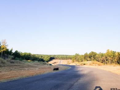 20522 Wild Arrow Ct, Arp, TX 75750 - photo 4