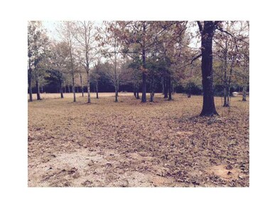 20301 Fairhaven Rd, Covington, LA 70435 - photo 3