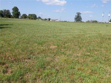 00 Pleasant Ridge Rd, Franklinville, NC 27248 - photo 6