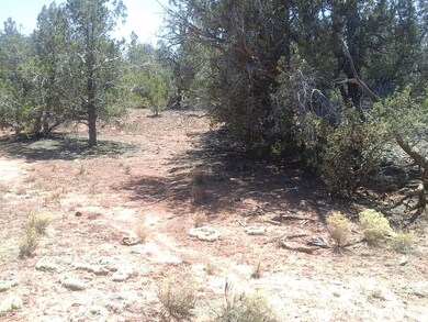 Lot 222a Juniperwood Ranch Unit 2, Ash Fork, AZ 86320 - photo 7