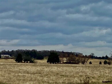 813 County Road 166, Whitesboro, TX 76273 - photo 4