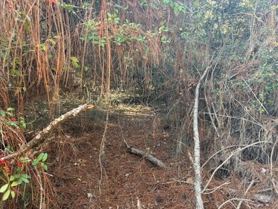 20 Nassau Ln, Normangee, TX 77871 - photo 4