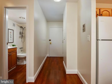 316 Burnside St unit 101, Annapolis, MD 21403 - photo 5