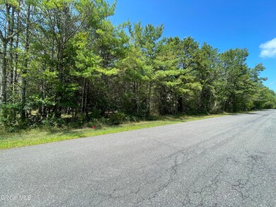 L18.11 Old Kings Rd, New Baltimore, NY 12087 - photo 2