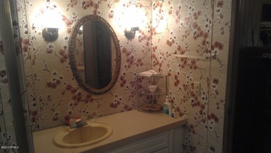 Master Bath Sink