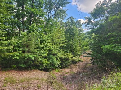 00 Hickory Nut Ln unit 390, Lake Lure, NC 28746 - photo 3