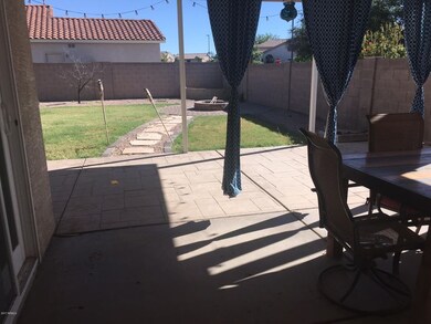 Back yard 2