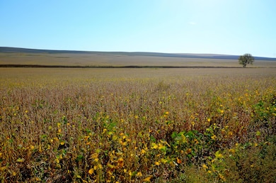 NE4 Sec 21 321st Ave, Central Lyman, SD 57544 - photo 3