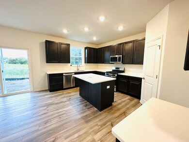 11115 Michigan Place, Crown Point, IN 46307 - photo 4