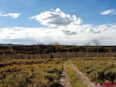 0 Cardwell Draw Rd unit 716504, Powderhorn, CO 81243 - photo 2