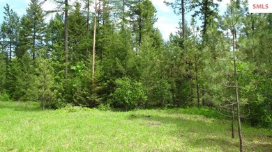 Lot 3 Wood View Rd, Sandpoint, ID 83864 - photo 3