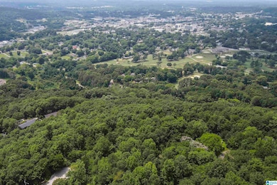 0 Rebecca Trail unit 6.07 ac 21420735, Anniston, AL 36207 - photo 5