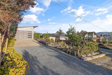 5-web-or-mls-713A6388