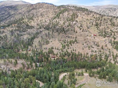0 Miller Fork Rd unit 1047651, Glen Haven, CO 80532 - photo 4