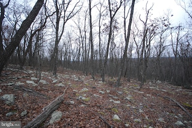 Lot 88 Wakeman Dr, Augusta, WV 26704 - photo 5