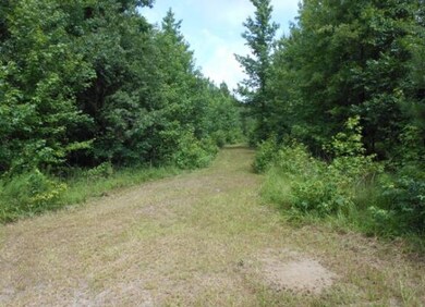 Pic 5