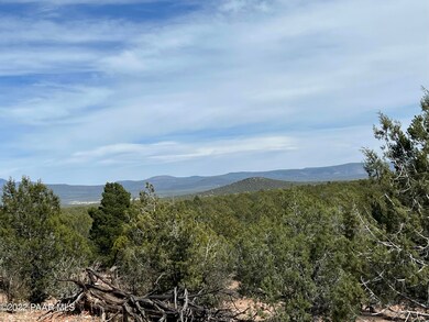 12 Lots A&c Off of Keller Place, Ash Fork, AZ 86320 - photo 4
