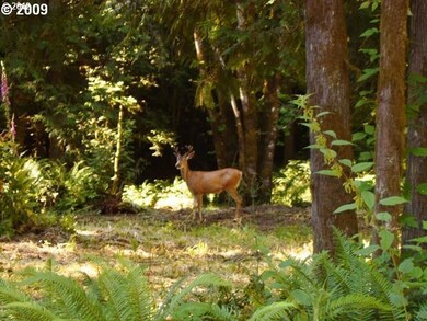 4 Briarwood Dr unit 4, Scappoose, OR 97056 - photo 5