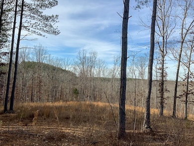 0 Bear Hollow Rd unit RTC2817202, Waverly, TN 37185 - photo 5