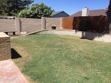 Backyard 3