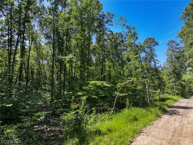 0 Co Road 3364 unit 4486126, Loudonville, OH 44842 - photo 2