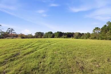 TBD County Road 204, Plantersville, TX 77363 - photo 5