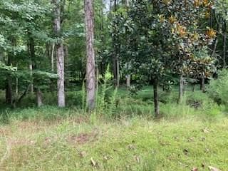 LT 3505R Castle Ct, Ellijay, GA 30540 - photo 6