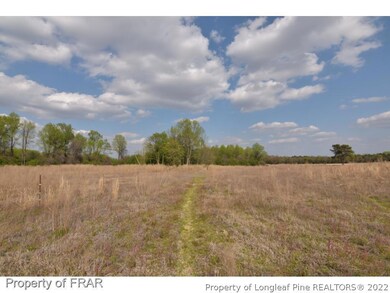 unlisted-address, Newton Grove, NC 28366 - photo 4