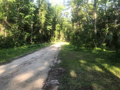 9 2nd Ave NE, Steinhatchee, FL 32359 - photo 3