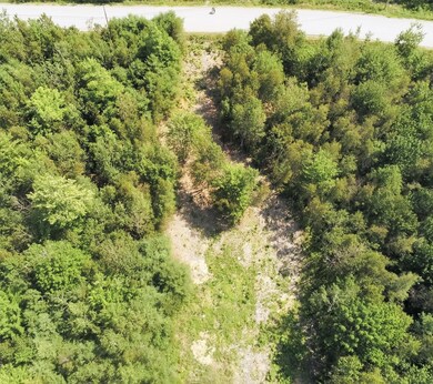 Lot 15 2nd - August