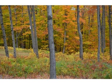 00 Route 66 unit 69, Ludlow, VT 05149 - photo 3
