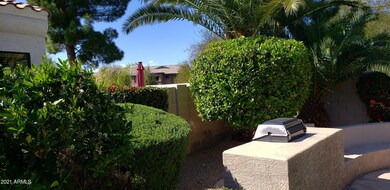 20210317_150008_resized