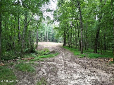 2 Old Hamburg Roxie Rd NW, Roxie, MS 39661 - photo 3
