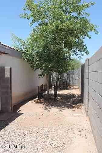 Back yard east
