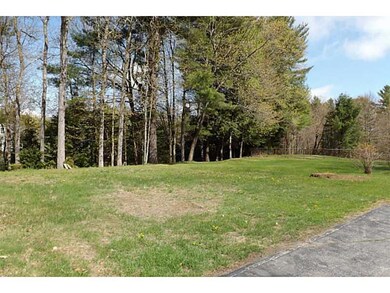 Yard/Garden.