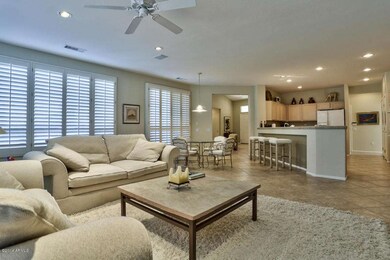 Plantation Shutters