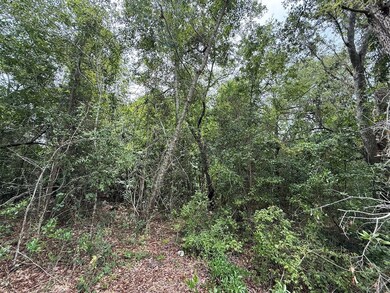 Summer Dr unit LotWP002, Barnwell, SC 29812 - photo 5