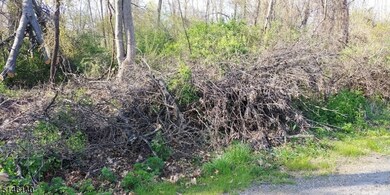 37 Cypress Dr, Hampton Twp., NJ 07860 - photo 3