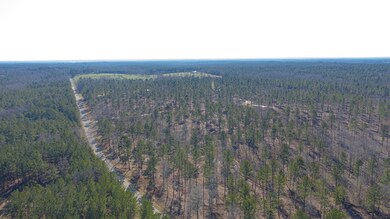 1911 White Rock Rd, Lincolnton, GA 30817 - photo 2