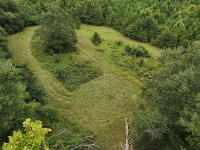 0 County Road 209 Rd, Selma, AL 36701 - photo 3